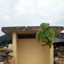 문필봉민박