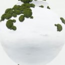 겔러리 카페 이미지