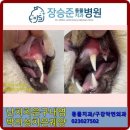 장승준동물치과병원 이미지