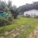 전원사슴농장 이미지