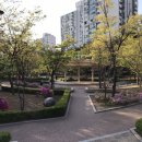 명동백양 이미지