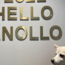 놀로동물행동클리닉 이미지