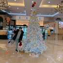 제주2박3일 자유여행 2일차｜함덕스타벅스,김녕성세기해변,구좌 소금바치순이네,성산일출봉,섭지코지...