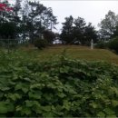 반곡 농장 이미지