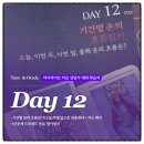 에이스에너지(주) | 마이라이트 타로 상담가 데뷔 학습지 2주차 Day06 I 기간별 운의 흐름읽기(오늘,이번주,이번달,올해)