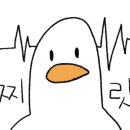 1급논현현대기아모터스 이미지