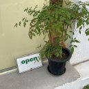 봉포약국 이미지