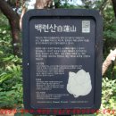 은평-087 티스토리
