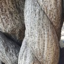악기숲 Daum카페