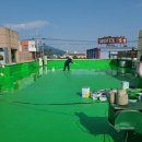 아리랑사 이미지