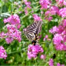 가연에너지 이미지