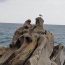 아들바위 이미지