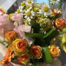 염주초병설유치원 이미지