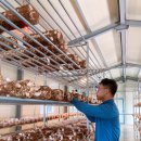 송화농장2 이미지