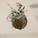 신진초등학교병설유치원 이미지