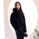 매혹