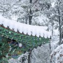 낭만멸치 이미지