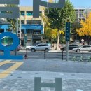 오성공인중개사사무소 이미지