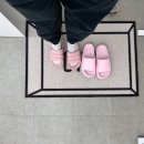 아리솜 이미지
