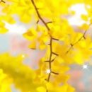 무료 유튜브 to MP3 변환기 이미지