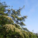 보림농장 이미지