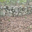 김천행정사사무소 이미지