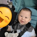 모모마트 이미지