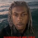 보고피드 이미지