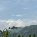 신비복숭아 제철 산지직송 과일 6월 둘째주