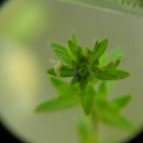 산본고등학교 이미지