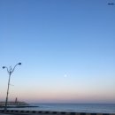 소노하임 이미지