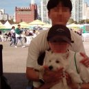CU 자양중앙점 | 제1회 동물가족행복페스타 동행런 참가 후기 : 동행런 꿀팁!