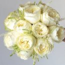 퓨어(PURE) 이미지