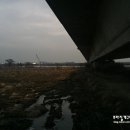 대교미트 이미지