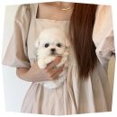 동광메디칼 | 창원강아지분양 소중한존재