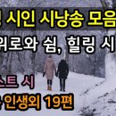 김진명 시인 시낭송 모음 20편 이미지