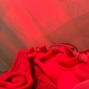 보원당한의원 이미지