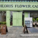클로리스 플라워(CHLORIS FLOWER)