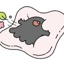 청원아구 이미지