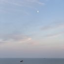 이마트24 동해묵호등대점 이미지