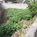 서문치안센터 이미지