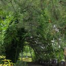 관광예술원 이미지