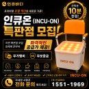 인큐 | 인큐온 특판점을 파격적인 조건에 선착순 10분 한정 모집합니다