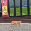 두리농원 이미지