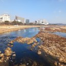 화암네거리~북대전 ic | 새벽 산책 2026. 1. 5. 월. '05:04~06:52'