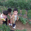 성민농장 이미지