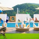 킹덤키즈-B 이미지