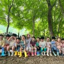 통매산 유아숲체험원 이미지