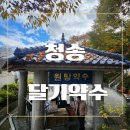 약수로 | 청송 달기약수 여행 약수로 밥 짓기 도전 후기
