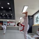 고려 인성 태권도 이미지